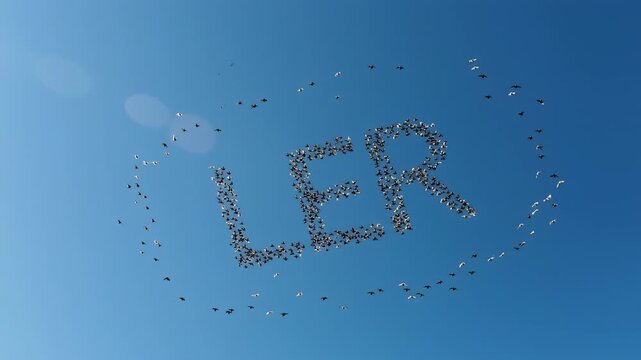 Water droplets forming the word LER on a blue background, creating a unique and refreshing visual effect.