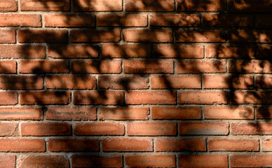 Shadow of branches on a red brick wall