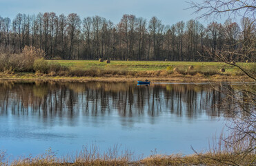 A peaceful, overcast day on a wide river, with a perfect, mirror-like reflection of the bare forest