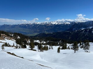 Fototapeta premium Evergreen forest with coniferous trees and alpine pastures in a winter environment of the Swiss Alps and UNESCO Biosphere Entlebuch, Switzerland - Immergrüner Nadelwald und Almwiesen