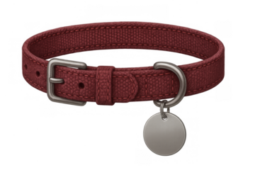 Red pet collar with metal buckle and blank tag