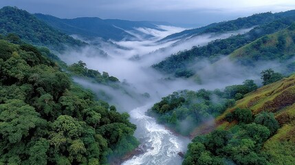 A river cuts through lush green mountain valleys with swirling mist in a majestic landscape