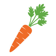 A simple illustration of a vibrant orange carrot with green leafy tops