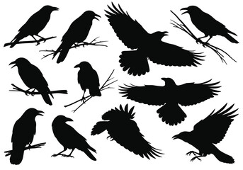 A collection of black raven silhouettes in various poses and flight