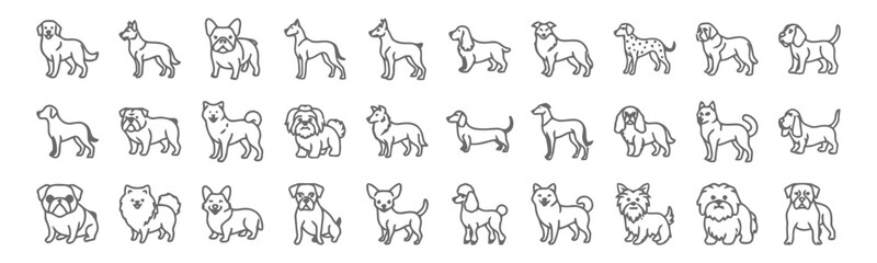 dog, dogs, canine, pet, animal, breed, puppy, icon, set, collection, illustration, line art, outline, graphic, french bulldog, pug, corgi, shih tzu, poodle, dachshund, labrador, golden retriever, beag