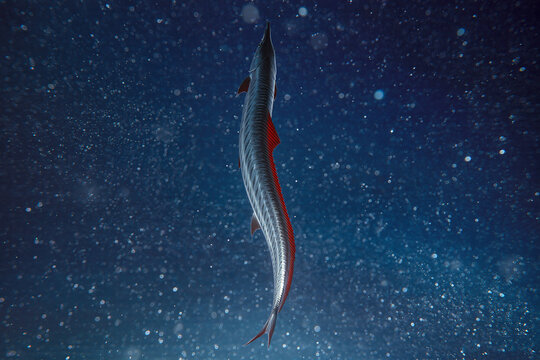 Giant oarfish swimming vertically in deep blue ocean water, mysterious deep-sea creature illuminated by floating particles