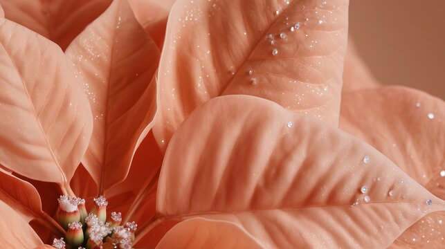 Red poinsettia flowers with vibrant petals and delicate water droplets create a stunning floral pattern, perfect for holiday decorations and seasonal celebrations - Powered by Adobe