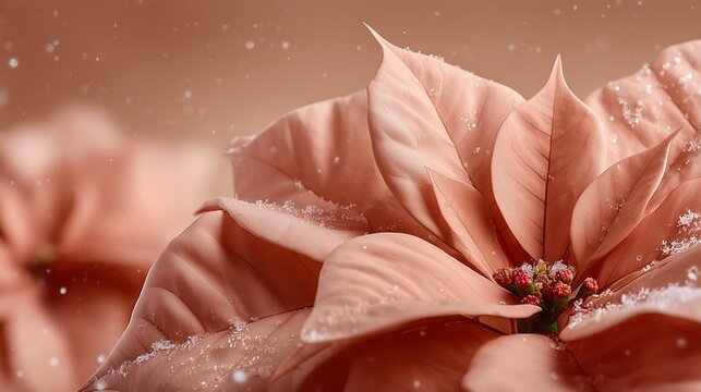 Red poinsettia flowers with delicate petals and soft snowflakes create a festive pattern, embodying the spirit of the holiday season and winter celebrations