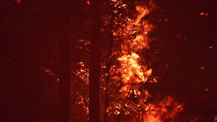 Fototapeta premium Fiery flames rise high among the dark silhouettes of trees, as a wildfire rages. The orange glow lights up the night sky, creating a dramatic and dangerous scene in a forest.