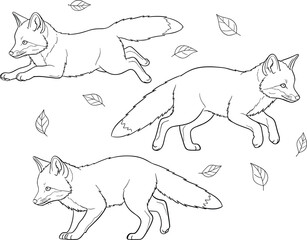 Three foxes in motion with falling leaves isolated on white background