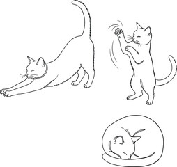 Three line art cat poses isolated on white background