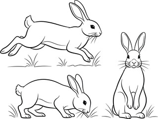 Three outline drawings of rabbits in different poses isolated on white background