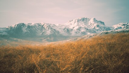 Lush fields of golden grass sway gently under the blue sky, while majestic snow covered mountains stand tall in the distance. A serene scene captures natures beauty and tranquility.