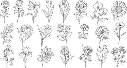 vector set of flowers