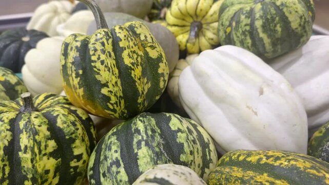 Pile of Sweet Halloween Christmas Pumpkins at the Market Footage.  