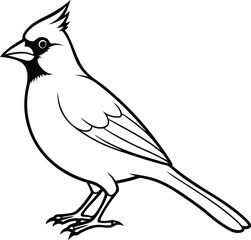 Cardinal Bird Standing In Profile Elegant Nature Artwork line art one line art