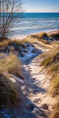 Fototapeta premium Sunlit Pathway Through Dunes Leading to Lake Michigan at Kohler Andrae State Park, Wisconsin