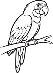 Parrot Bird Outline Elegant Exotic Tropical Nature Design line art one line art