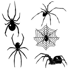 Aranha