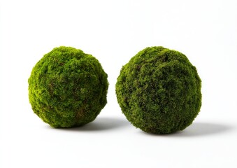 Fototapeta premium Two green mossy spheres on white