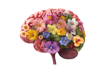 Human Brain with Blooming Flowers Symbolizing Mental Health Isolated on Transparent Background