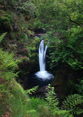 Small waterfall flowing through lush green forest in Scotland. Peaceful natural landscape with moss and ferns. 