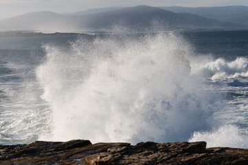 Photographing big waves, birds flying at sea, and the almost full moon!