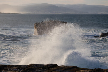 Photographing big waves, birds flying at sea, and the almost full moon!