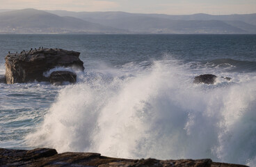 Photographing big waves, birds flying at sea, and the almost full moon!