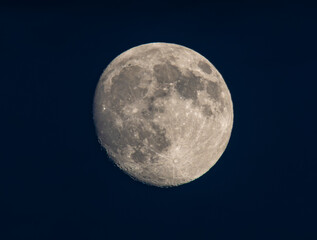 Photographing big waves, birds flying at sea, and the almost full moon!