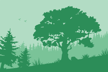 tree silhouette on hill with forest background and flying birds