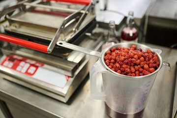 Freshly harvested red berries in a measuring cup on a stainless steel countertop, surrounded by kitchen equipment and jars for food preparation