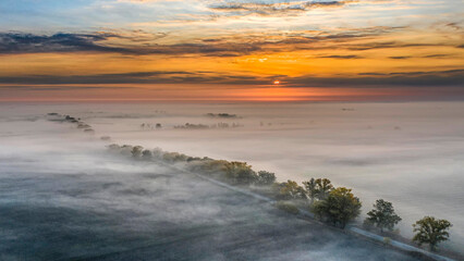 Foggy sunrise over rural landscape, trees appearing from a misty sea, aerial view.