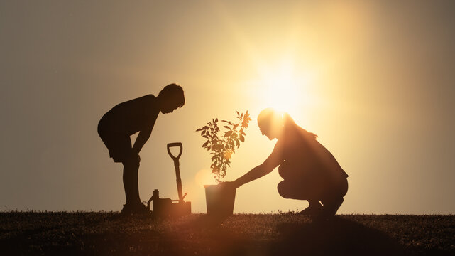 Silhouette of Parent and Child Gardening Together – Nature, Growth, and Sustainability
