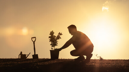 Silhouette of a man planting a young tree at sunset. Represents sustainability, nature care, environmental protection, and hope for the future.