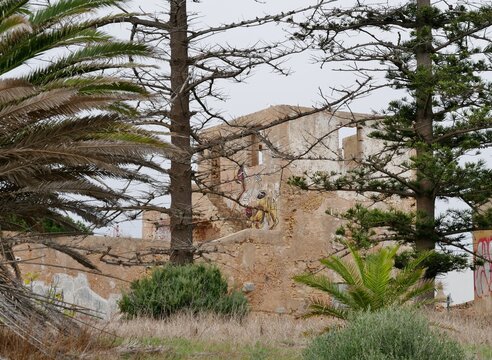 Ruine hinter Tannenbaum an der Algarve