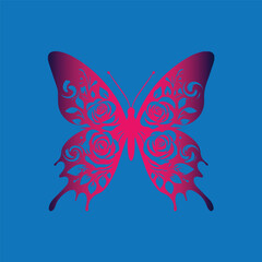 butterfly vector illustration