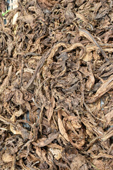 Tobacco dried in the sun, leaf residue, dry or dead leaves, dry leaf background