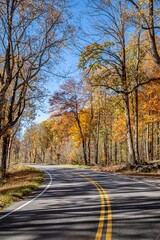 a ride in the fall through the forest
