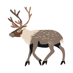 Vector illustration of a reindeer, stylized graphic drawing.