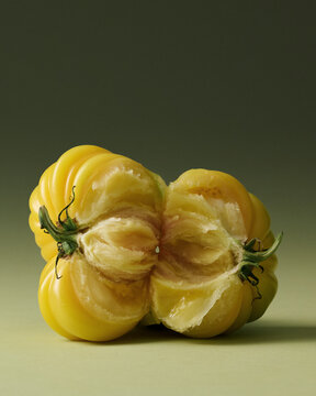 Yellow Heirloom Torn Tomatoes Painterly Still Life on Green Seamless background. Film grain