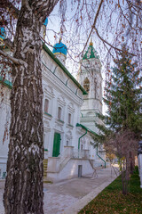 A picturesque view of the Annunciation Church and its bell tower along a path, framed by a birch tree trunk. A tranquil landscape with a Russian Orthodox temple.