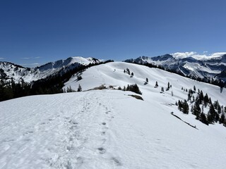 Wonderful winter hiking trails and traces on the fresh alpine snow cover of the Swiss Alps and UNESCO Biosphere Entlebuch, Switzerland - Herrliche Winterwanderwege und Spuren auf der frischen Schneede