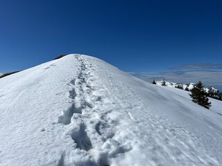 Wonderful winter hiking trails and traces on the fresh alpine snow cover of the Swiss Alps and UNESCO Biosphere Entlebuch, Switzerland - Herrliche Winterwanderwege und Spuren auf der frischen Schneede