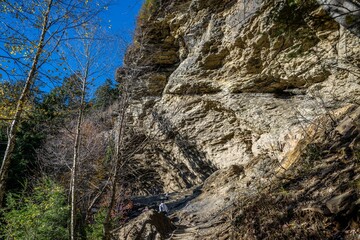 Alum Cave Trail