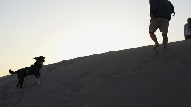 Group of friends and dog having fun climping a sand dune in Patara beach in Turkey in slow motion