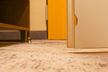 Ajar wooden door with chipped lower edge and paint wear