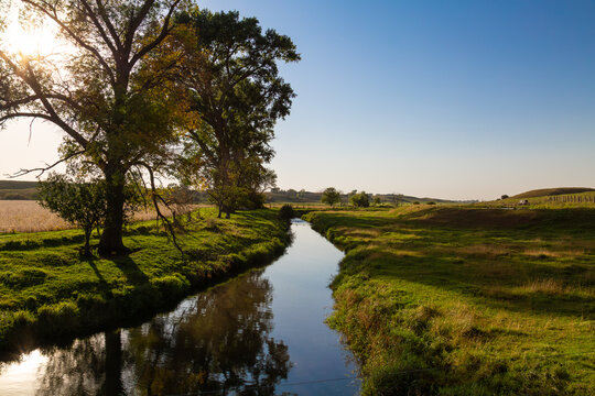 Country stream in grass pasture at golden hour sunset with distant grazing cows and flying birds