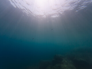 Serene underwater scene with bright sunbeams streaming through the blue ocean surface above a rocky seabed.