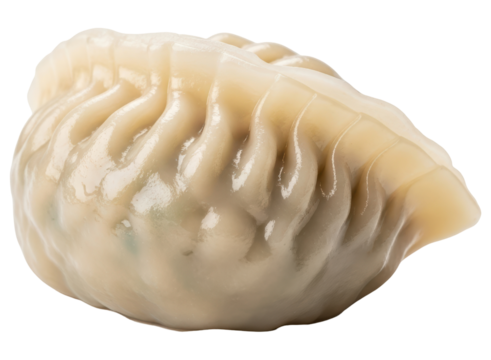 Perfectly steamed asian dumpling with pleated wrapper for culinary use